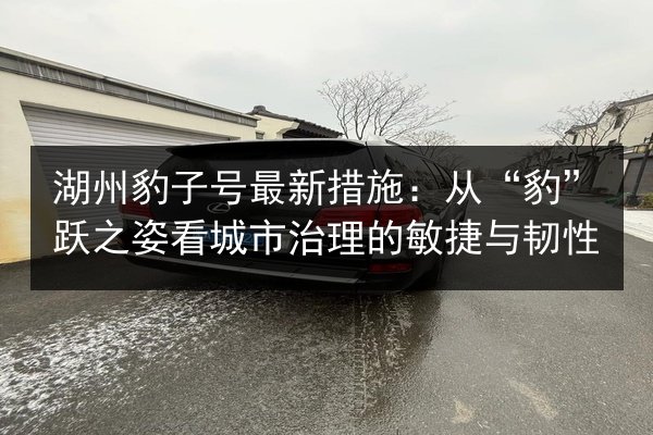 湖州豹子号最新措施:从“豹”跃之姿看城市治理的敏捷与韧性 第3张 湖州豹子号最新措施:从“豹”跃之姿看城市治理的敏捷与韧性 第3张