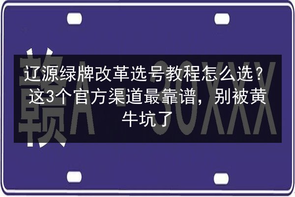 辽源绿牌改革选号教程怎么选？这3个官方渠道最靠谱，别被黄牛坑了 第3张
