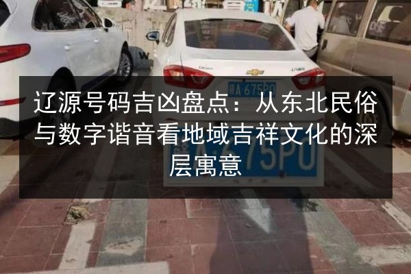 辽源号码吉凶盘点：从东北民俗与数字谐音看地域吉祥文化的深层寓意 第2张