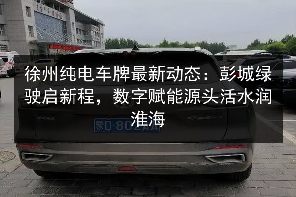 徐州纯电车牌最新动态：彭城绿驶启新程，数字赋能源头活水润淮海 第2张