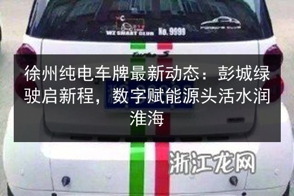 徐州纯电车牌最新动态：彭城绿驶启新程，数字赋能源头活水润淮海 第3张