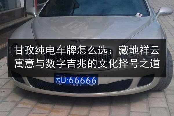 甘孜纯电车牌怎么选：藏地祥云寓意与数字吉兆的文化择号之道 第2张