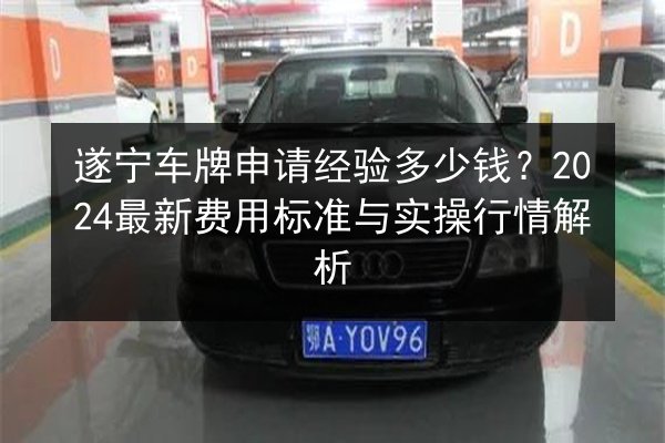 遂宁车牌申请经验多少钱？2024最新费用标准与实操行情解析 第2张