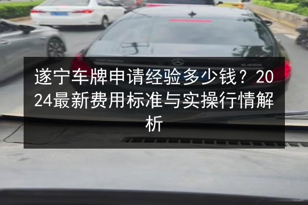 遂宁车牌申请经验多少钱？2024最新费用标准与实操行情解析 第3张