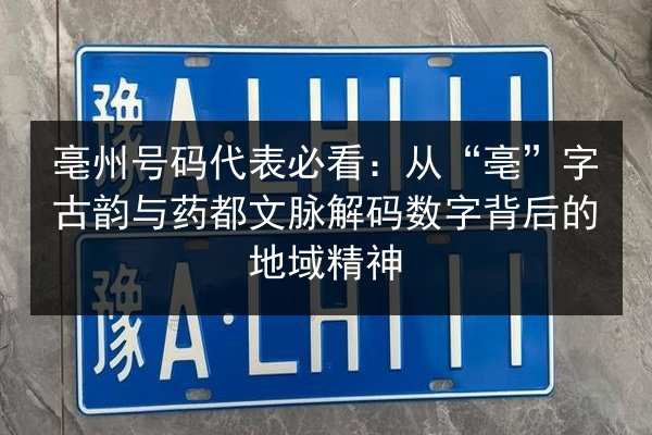 亳州号码代表必看：从“亳”字古韵与药都文脉解码数字背后的地域精神