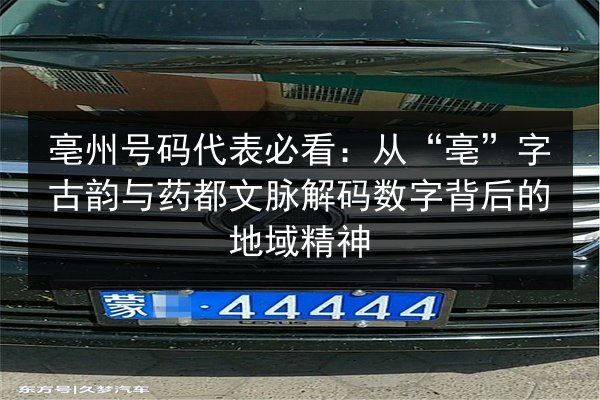 亳州号码代表必看：从“亳”字古韵与药都文脉解码数字背后的地域精神 第2张