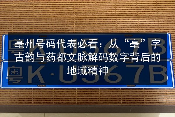 亳州号码代表必看：从“亳”字古韵与药都文脉解码数字背后的地域精神 第3张