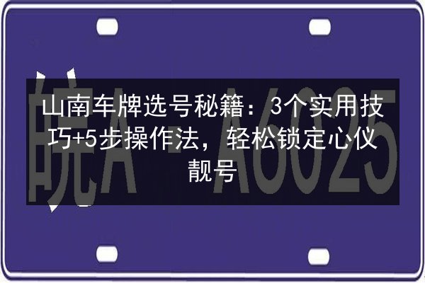 山南车牌选号秘籍：3个实用技巧+5步操作法，轻松锁定心仪靓号