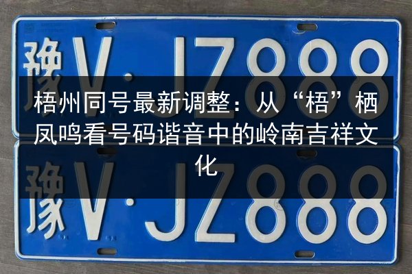梧州同号最新调整：从“梧”栖凤鸣看号码谐音中的岭南吉祥文化