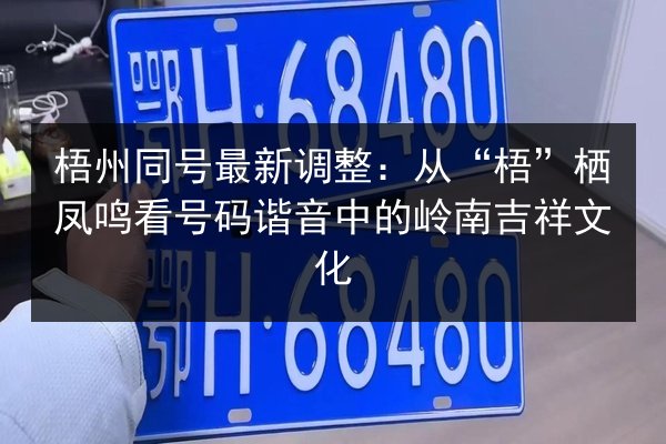 梧州同号最新调整:从“梧”栖凤鸣看号码谐音中的岭南吉祥文化 第3张 梧州同号最新调整:从“梧”栖凤鸣看号码谐音中的岭南吉祥文化 第3张