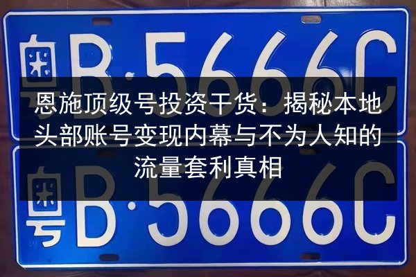 恩施顶级号投资干货:揭秘本地头部账号变现内幕与不为人知的流量套利真相 第2张 恩施顶级号投资干货:揭秘本地头部账号变现内幕与不为人知的流量套利真相 第2张