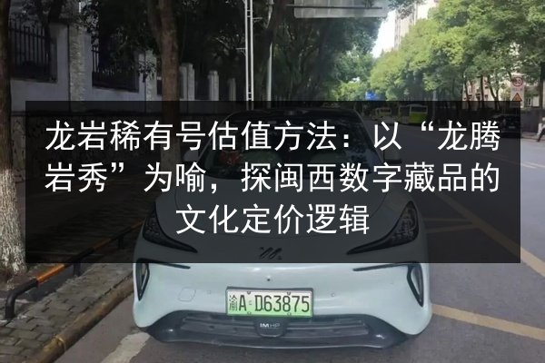 龙岩稀有号估值方法:以“龙腾岩秀”为喻,探闽西数字藏品的文化定价逻辑 第3张 龙岩稀有号估值方法:以“龙腾岩秀”为喻,探闽西数字藏品的文化定价逻辑 第3张