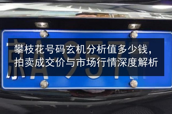 攀枝花号码玄机分析值多少钱，拍卖成交价与市场行情深度解析