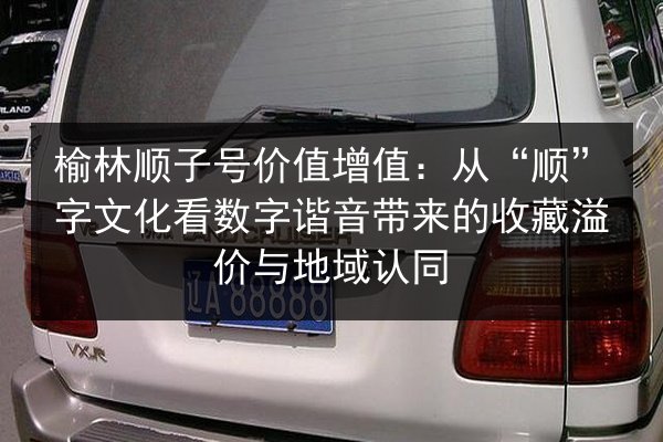 榆林顺子号价值增值：从“顺”字文化看数字谐音带来的收藏溢价与地域认同 第1张