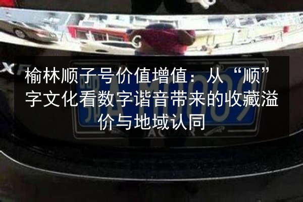 榆林顺子号价值增值：从“顺”字文化看数字谐音带来的收藏溢价与地域认同 第2张