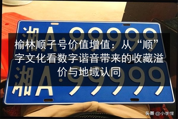 榆林顺子号价值增值：从“顺”字文化看数字谐音带来的收藏溢价与地域认同 第3张