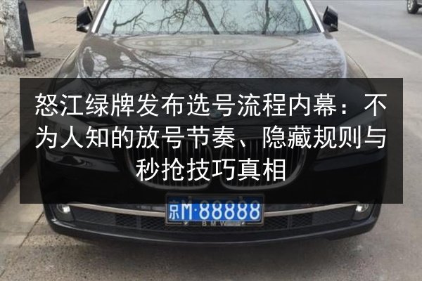 怒江绿牌发布选号流程内幕：不为人知的放号节奏、隐藏规则与秒抢技巧真相