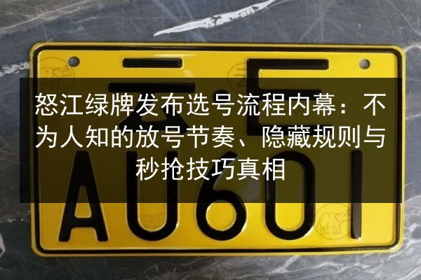 怒江绿牌发布选号流程内幕:不为人知的放号节奏、隐藏规则与秒抢技巧真相 第3张 怒江绿牌发布选号流程内幕:不为人知的放号节奏、隐藏规则与秒抢技巧真相 第3张