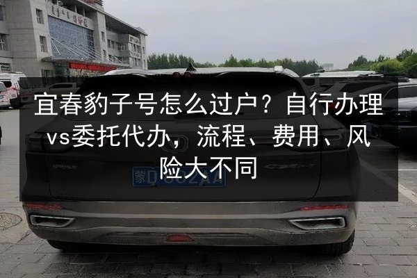 宜春豹子号怎么过户？自行办理vs委托代办，流程、费用、风险大不同