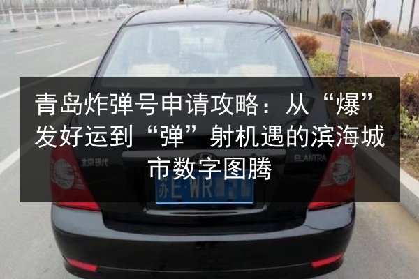 青岛炸弹号申请攻略：从“爆”发好运到“弹”射机遇的滨海城市数字图腾 第2张