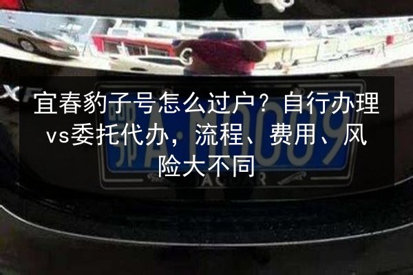 宜春豹子号怎么过户？自行办理vs委托代办，流程、费用、风险大不同 第3张
