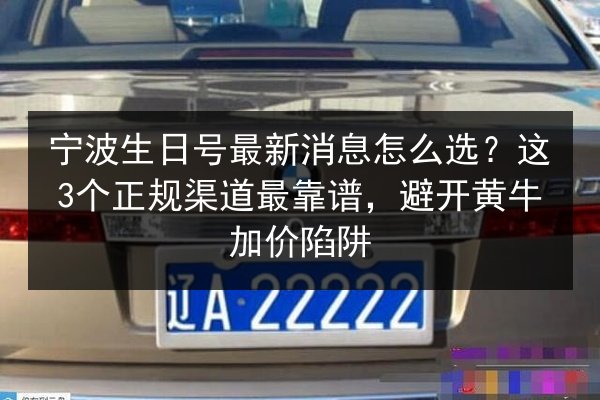 宁波生日号最新消息怎么选？这3个正规渠道最靠谱，避开黄牛加价陷阱