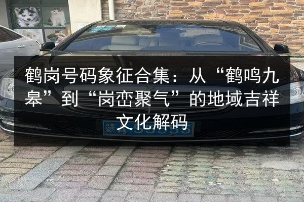 鹤岗号码象征合集:从“鹤鸣九皋”到“岗峦聚气”的地域吉祥文化解码 第2张 鹤岗号码象征合集:从“鹤鸣九皋”到“岗峦聚气”的地域吉祥文化解码 第2张