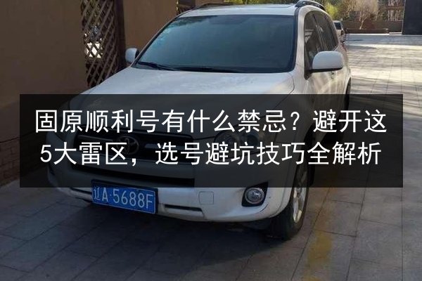 固原顺利号有什么禁忌？避开这5大雷区，选号避坑技巧全解析 第2张