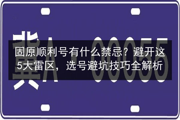 固原顺利号有什么禁忌？避开这5大雷区，选号避坑技巧全解析 第3张