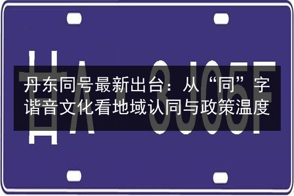 丹东同号最新出台:从“同”字谐音文化看地域认同与政策温度 第3张 丹东同号最新出台:从“同”字谐音文化看地域认同与政策温度 第3张