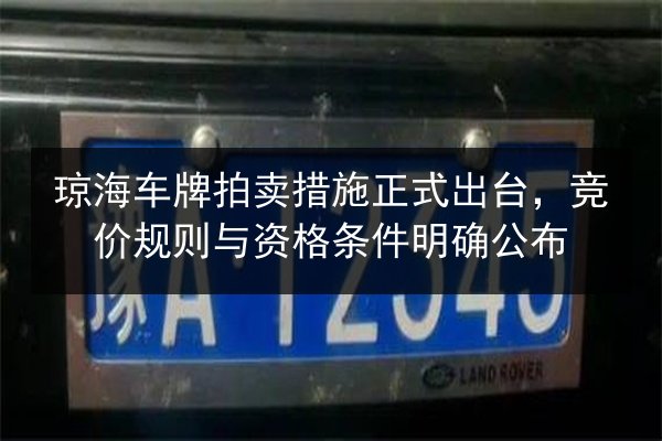 琼海车牌拍卖措施正式出台,竞价规则与资格条件明确公布 第3张 琼海车牌拍卖措施正式出台,竞价规则与资格条件明确公布 第3张