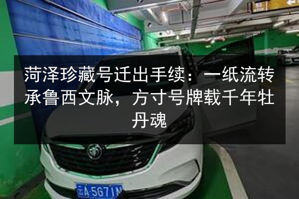 菏泽珍藏号迁出手续:一纸流转承鲁西文脉,方寸号牌载千年牡丹魂 第3张 菏泽珍藏号迁出手续:一纸流转承鲁西文脉,方寸号牌载千年牡丹魂 第3张