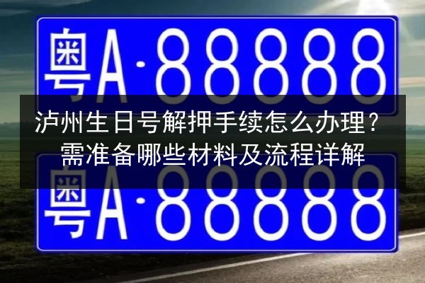 泸州生日号解押手续怎么办理？需准备哪些材料及流程详解 第3张