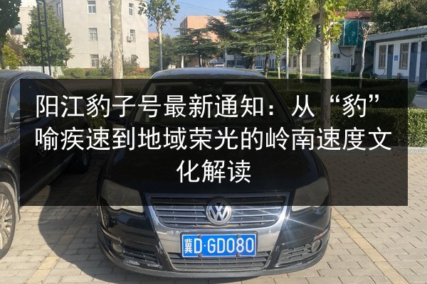 阳江豹子号最新通知：从“豹”喻疾速到地域荣光的岭南速度文化解读 第1张