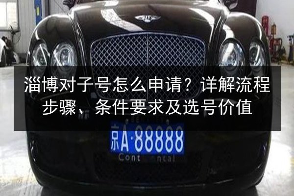 淄博对子号怎么申请？详解流程步骤、条件要求及选号价值