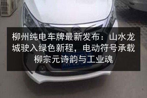 柳州纯电车牌最新发布:山水龙城驶入绿色新程,电动符号承载柳宗元诗韵与工业魂 第2张 柳州纯电车牌最新发布:山水龙城驶入绿色新程,电动符号承载柳宗元诗韵与工业魂 第2张