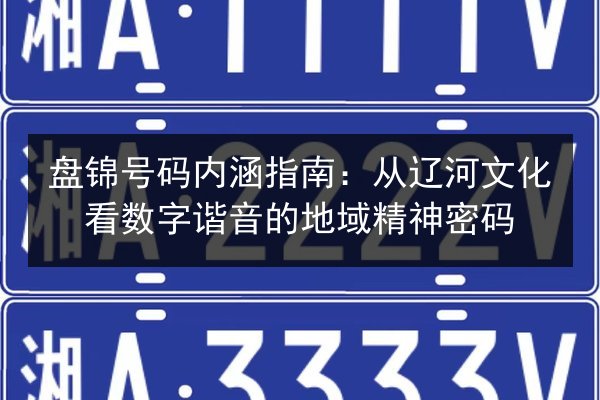 盘锦号码内涵指南：从辽河文化看数字谐音的地域精神密码 第3张