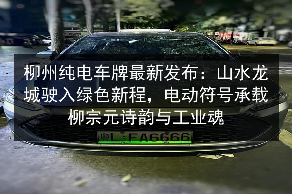 柳州纯电车牌最新发布:山水龙城驶入绿色新程,电动符号承载柳宗元诗韵与工业魂 第3张 柳州纯电车牌最新发布:山水龙城驶入绿色新程,电动符号承载柳宗元诗韵与工业魂 第3张