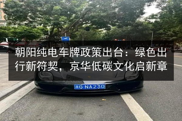 朝阳纯电车牌政策出台:绿色出行新符契,京华低碳文化启新章 第2张 朝阳纯电车牌政策出台:绿色出行新符契,京华低碳文化启新章 第2张