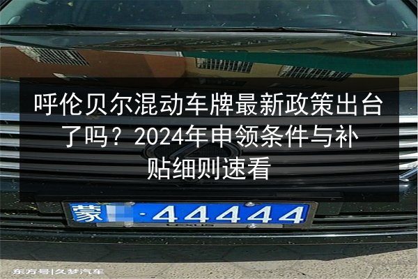 呼伦贝尔混动车牌最新政策出台了吗?2024年申领条件与补贴细则速看 第2张 呼伦贝尔混动车牌最新政策出台了吗?2024年申领条件与补贴细则速看 第2张