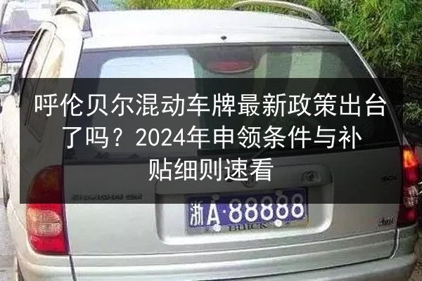 呼伦贝尔混动车牌最新政策出台了吗?2024年申领条件与补贴细则速看 第3张 呼伦贝尔混动车牌最新政策出台了吗?2024年申领条件与补贴细则速看 第3张