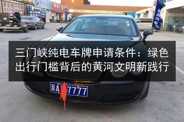 三门峡纯电车牌申请条件：绿色出行门槛背后的黄河文明新践行 第2张