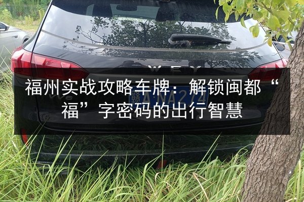 福州实战攻略车牌：解锁闽都“福”字密码的出行智慧 第2张