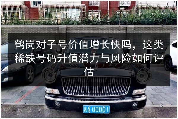 鹤岗对子号价值增长快吗，这类稀缺号码升值潜力与风险如何评估