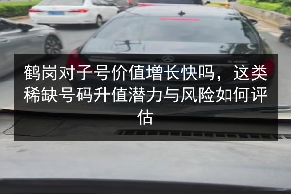 鹤岗对子号价值增长快吗,这类稀缺号码升值潜力与风险如何评估 第2张 鹤岗对子号价值增长快吗,这类稀缺号码升值潜力与风险如何评估 第2张