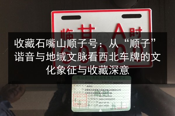 收藏石嘴山顺子号：从“顺子”谐音与地域文脉看西北车牌的文化象征与收藏深意