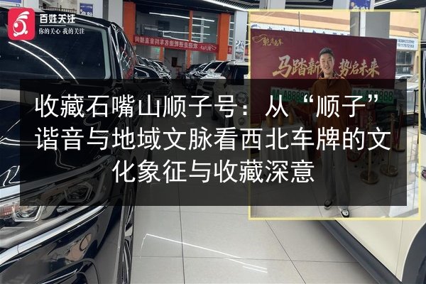 收藏石嘴山顺子号:从“顺子”谐音与地域文脉看西北车牌的文化象征与收藏深意 第2张 收藏石嘴山顺子号:从“顺子”谐音与地域文脉看西北车牌的文化象征与收藏深意 第2张