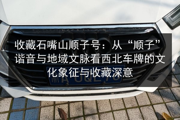收藏石嘴山顺子号:从“顺子”谐音与地域文脉看西北车牌的文化象征与收藏深意 第3张 收藏石嘴山顺子号:从“顺子”谐音与地域文脉看西北车牌的文化象征与收藏深意 第3张
