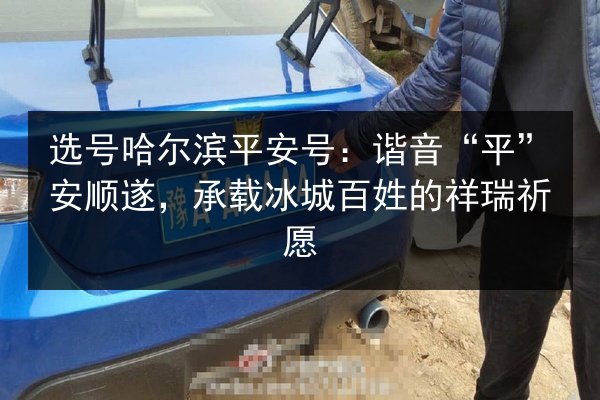 选号哈尔滨平安号：谐音“平”安顺遂，承载冰城百姓的祥瑞祈愿