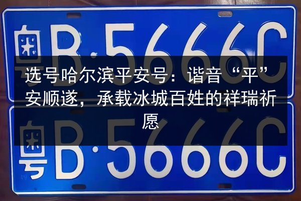 选号哈尔滨平安号：谐音“平”安顺遂，承载冰城百姓的祥瑞祈愿 第2张